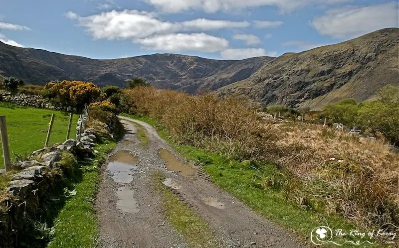 ring of kerry photo webp. photo